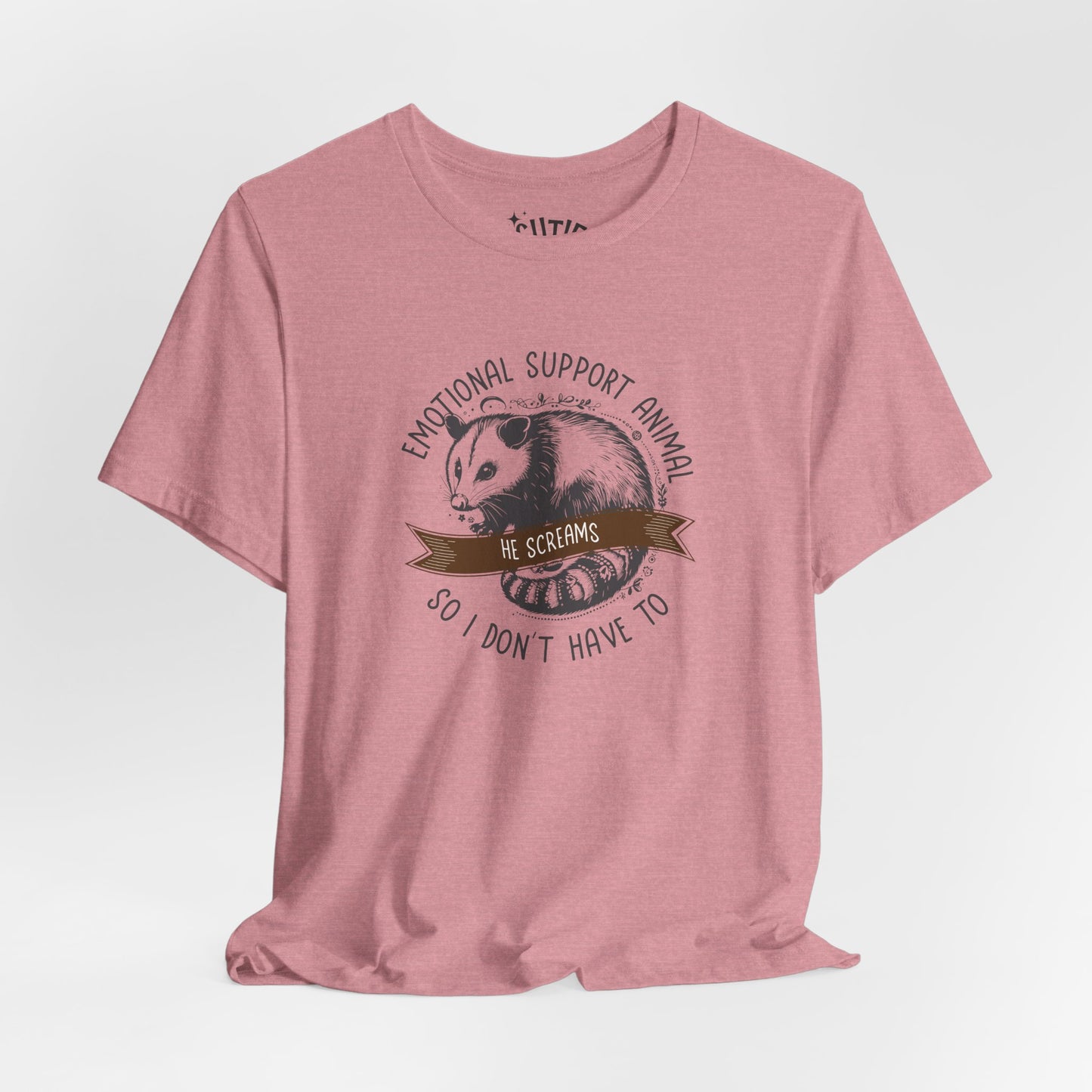 Emotional Support Opossum Animal Tee, Funny Animal Lover Shirt, Gift for Pet Owners, Casual Wear, Birthday Gift, Quirky Humor