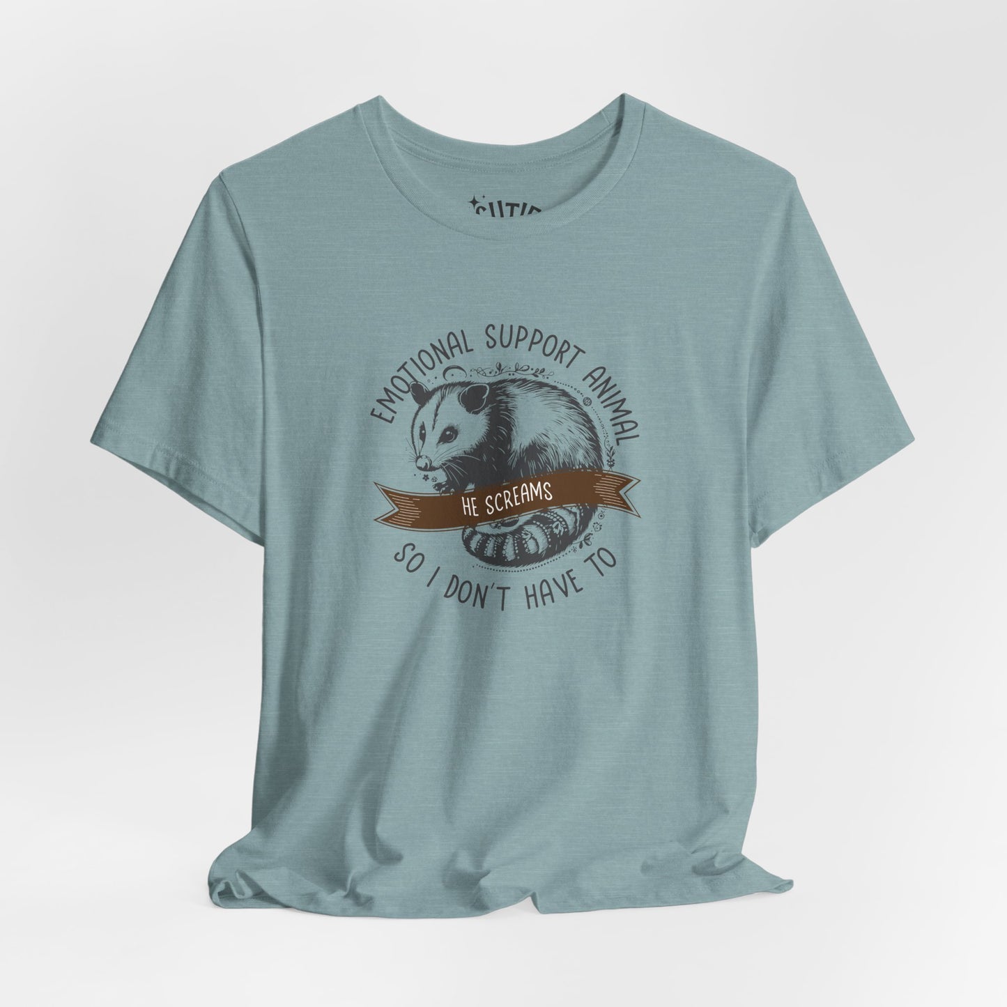 Emotional Support Opossum Animal Tee, Funny Animal Lover Shirt, Gift for Pet Owners, Casual Wear, Birthday Gift, Quirky Humor