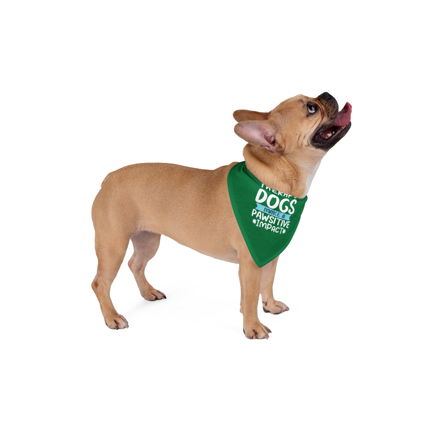 Therapy Dogs 'Pawsitive Impact' Pet Bandana — Green Dog Scarf for Therapy & Service Visits