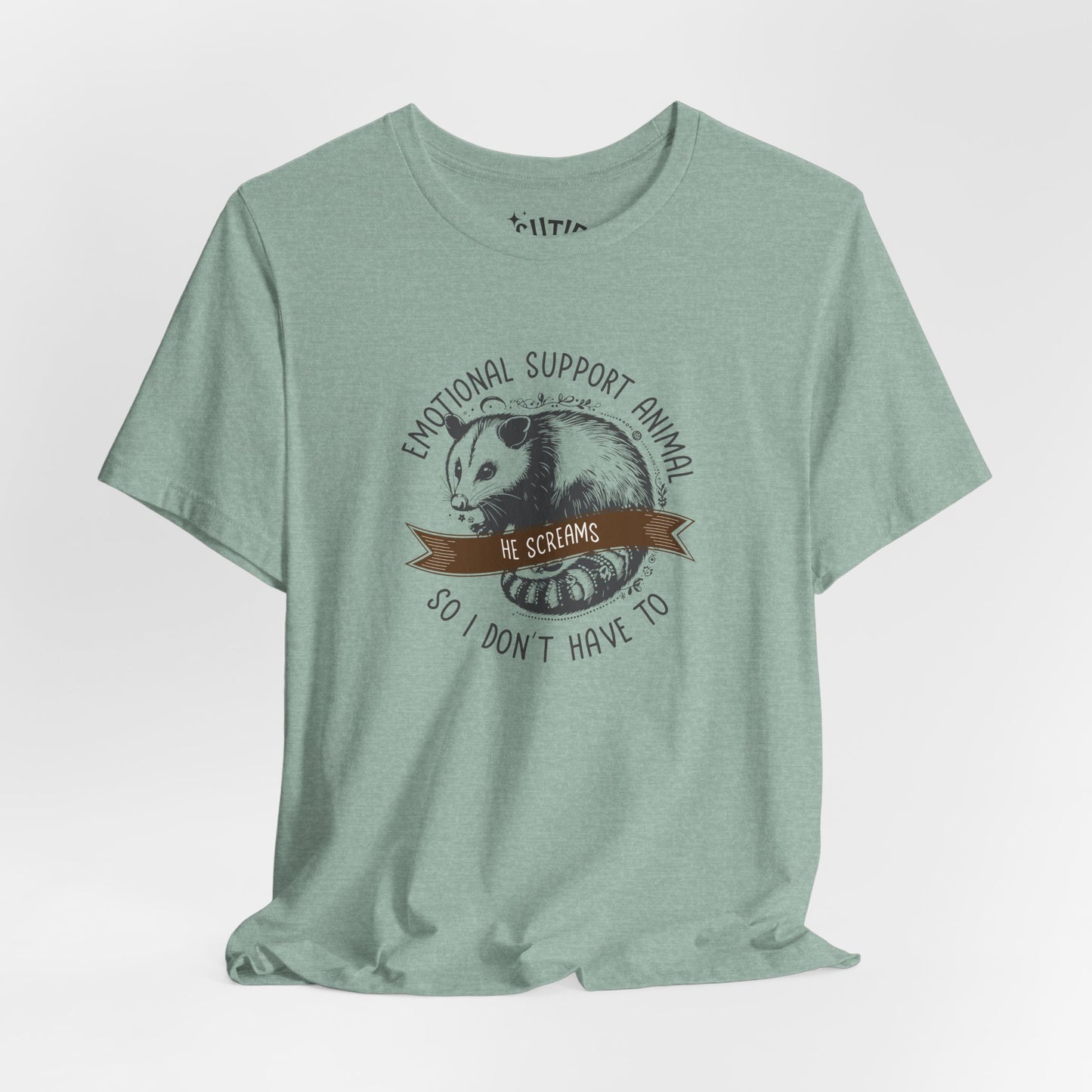 Emotional Support Opossum Animal Tee, Funny Animal Lover Shirt, Gift for Pet Owners, Casual Wear, Birthday Gift, Quirky Humor